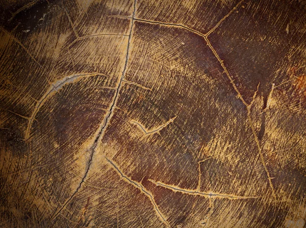 Dekoracji drewna tekstura tło — Zdjęcie stockowe