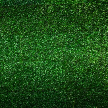 Artificial Grass leaf background clipart