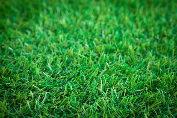 Artificial Grass leaf background — Stock Photo, Image