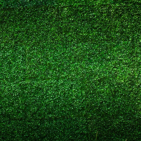 Fundo de folha de grama artificial — Fotografia de Stock