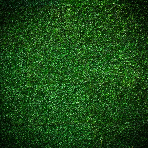 Sztuczna trawa tło liść — Zdjęcie stockowe