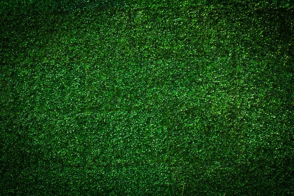 Artificial Grass leaf background — Stock Photo, Image