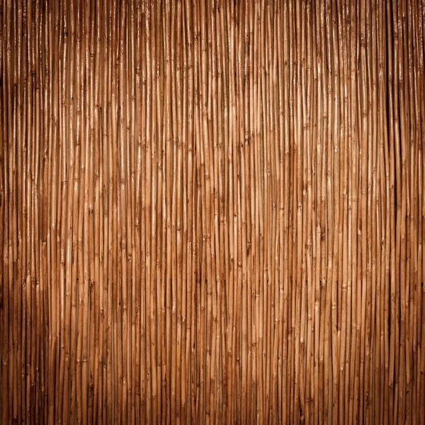 Belo fundo de bambu japonês — Fotografia de Stock