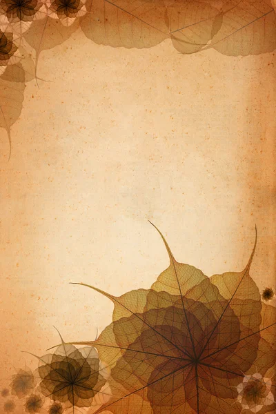 Grunge papier met versieren skeleton blad achtergrond — Stockfoto