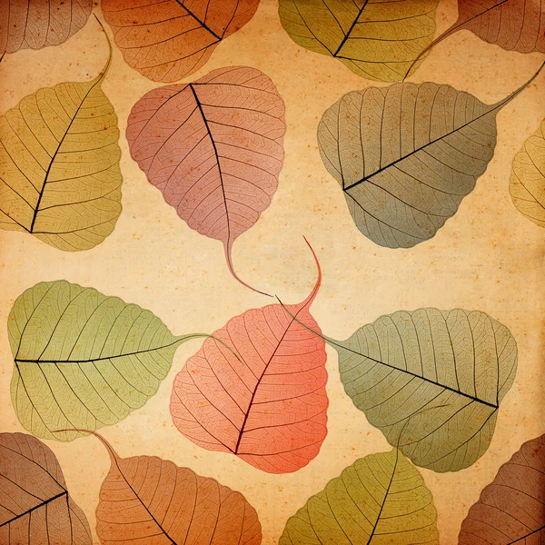 Бесшовный красочный фон из листьев скелета — стоковое фото