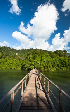 jungle, Chanthaburi Tayland Doğu köprü