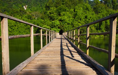 jungle, Chanthaburi Tayland Doğu köprü