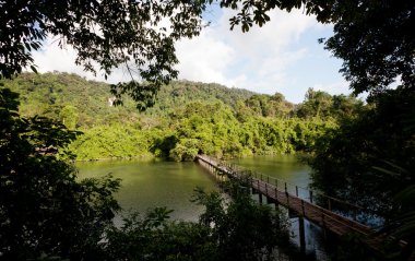 jungle, Chanthaburi Tayland Doğu köprü