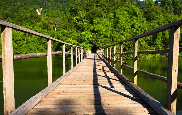 stock image Bridge to the jungle, Chantaburi eastern of Thailand