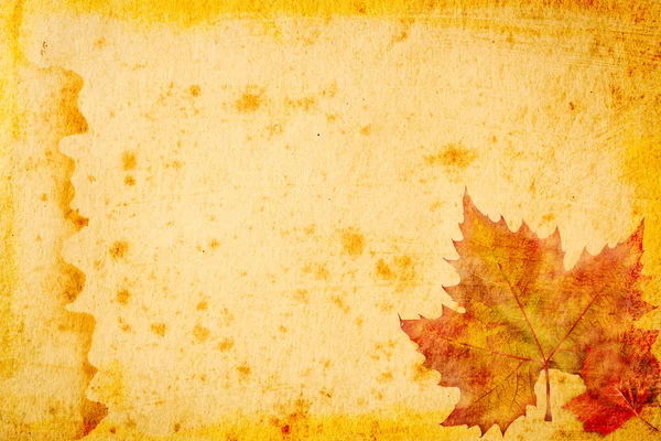 カエデの葉の背景グランジ紙 — ストック写真