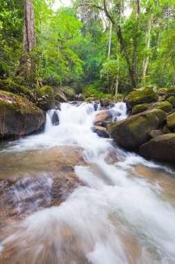 Chanthaburi, Tayland Doğu derin orman şelale