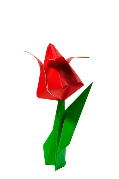 Origami tulipa vermelha isolada em branco — Fotografia de Stock