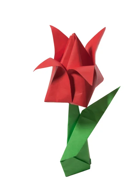Origami üzerine beyaz izole kırmızı lale — Stok fotoğraf