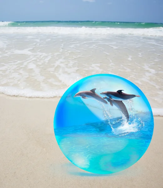 Прыжки дельфина в кристалле над песком и морем — стоковое фото