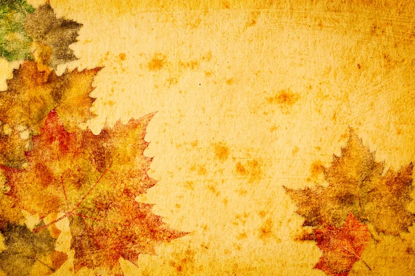 Maple leaves grunge paper for background — Stock Photo, Image