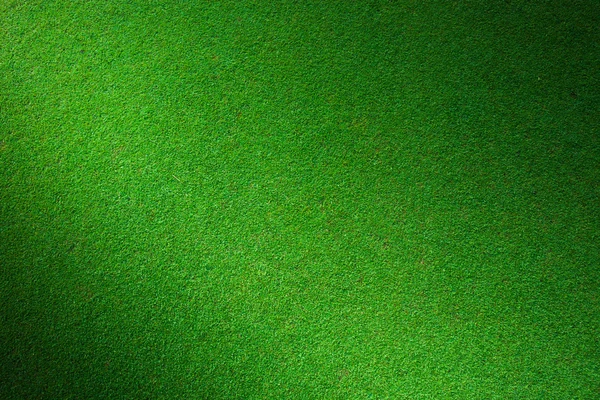 Echtes grünes Gras Hintergrund — Stockfoto