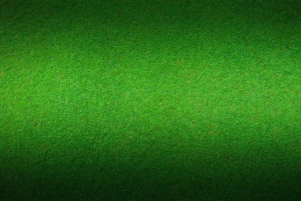 Fondo de hierba verde real —  Fotos de Stock