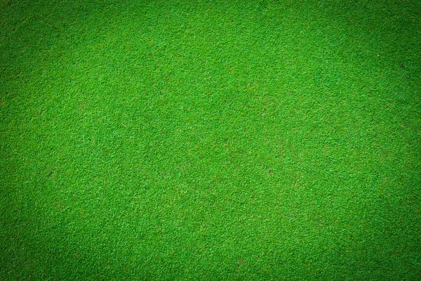 Real green grass background — Stock Photo, Image