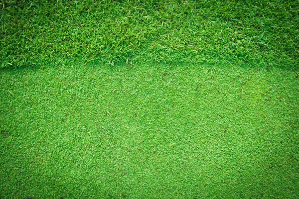 Prawdziwe zielone tło trawy — Zdjęcie stockowe
