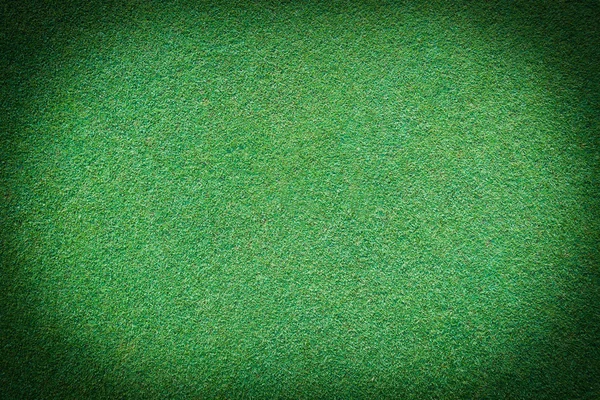 Echtes grünes Gras Hintergrund — Stockfoto