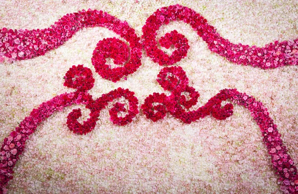 Orchild e vermelho rosa pano de fundo decorar para cerimônia de casamento — Fotografia de Stock