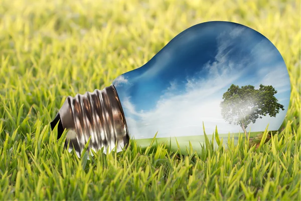 Meadow in light bulb — Stock Photo, Image