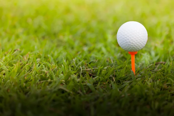 Golf piłka na tee — Zdjęcie stockowe