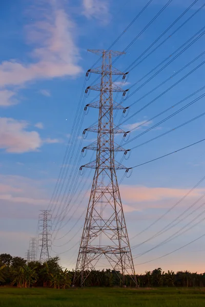 Electricity supply pylons in countryside — Stock Photo, Image