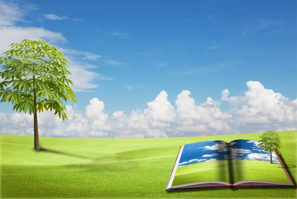 Houten teken op het groene veld met blauwe hemel — Stockfoto