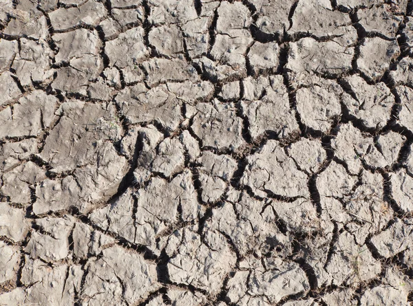 Öldü ve kırık toprak — Stok fotoğraf