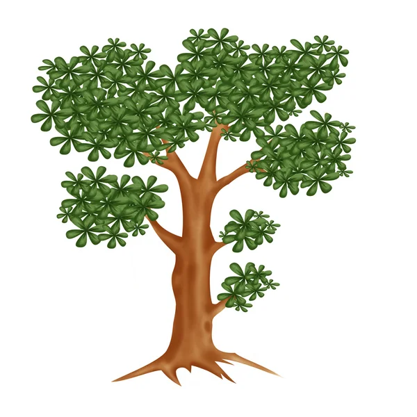 Yeşil leafag ile ağacı — Stok fotoğraf