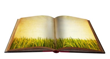 Magic book with Landscape view for your education meterial clipart