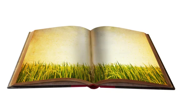 Волшебная книга с видом на ландшафт для вашего образования — стоковое фото
