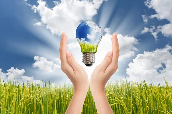 Ahorro de manos, concepto global de soluciones de energía verde con Lig —  Fotos de Stock