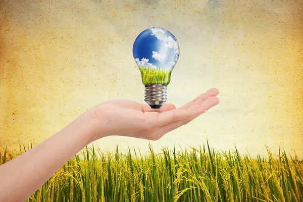 Hands saving , Global Concept of Green Energy Solutions With Lig — Stock Photo, Image
