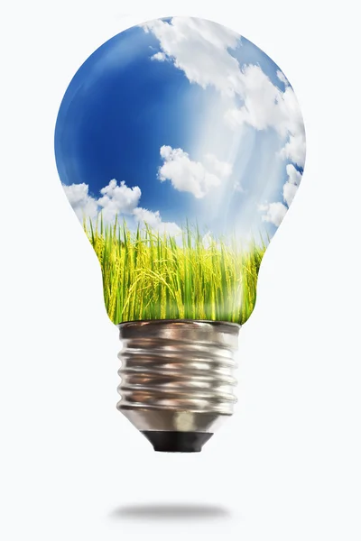 Light bulb with paddy rice — Stock Photo, Image