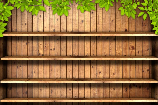 Trä bokhylla — Stockfoto