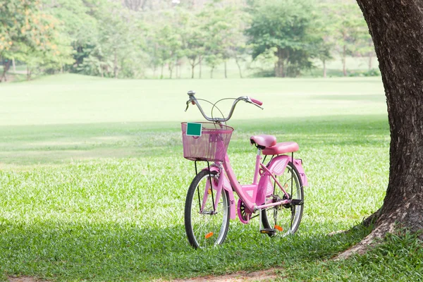 Bicicleta rosa no parque — Fotografia de Stock