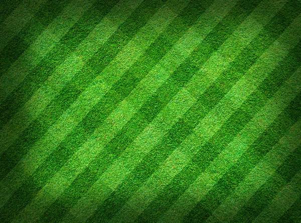 Riktigt grönt gräs fältet bakgrund — Stockfoto