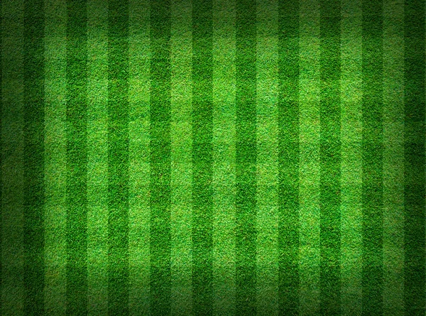 Riktigt grönt gräs fältet bakgrund — Stockfoto