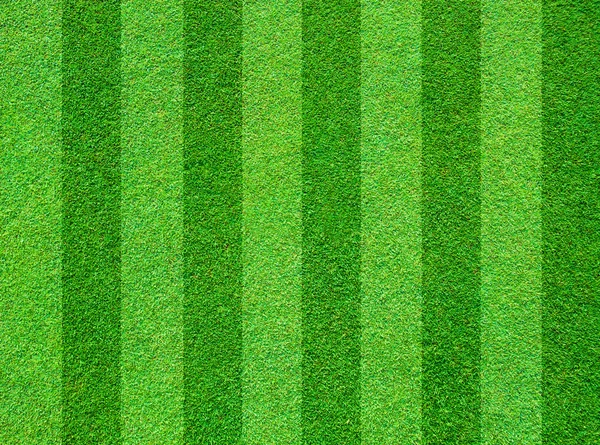 Real verde grama campo fundo — Fotografia de Stock