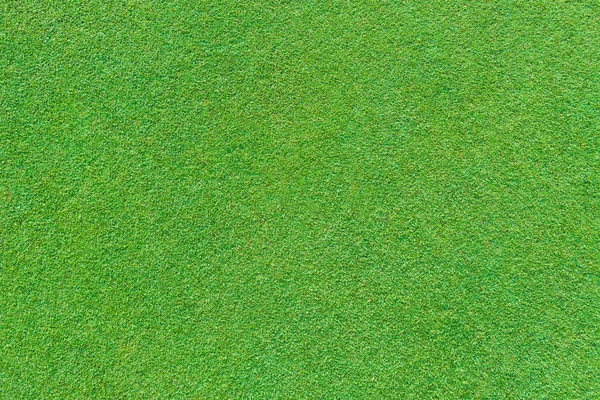 Véritable fond d'herbe verte — Photo