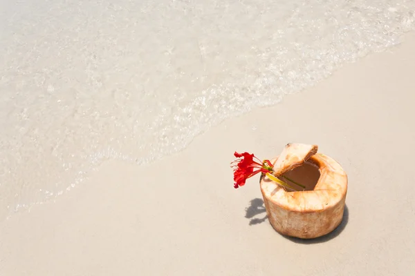 Кокосовый орех на белом песке и красивая волна — стоковое фото