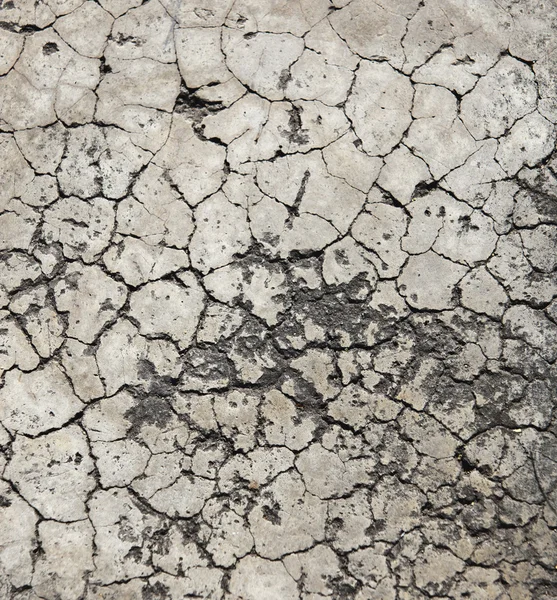 Cracked crement texture — Stock Photo, Image
