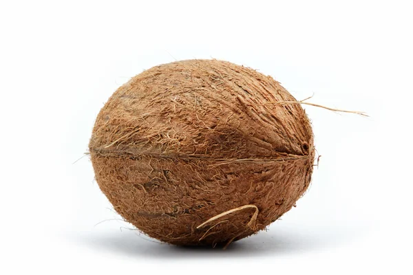흰색으로 분리 된 코코넛 — 스톡 사진