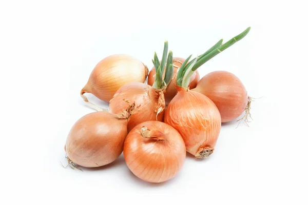 Świeże cebule na białym tle — Zdjęcie stockowe