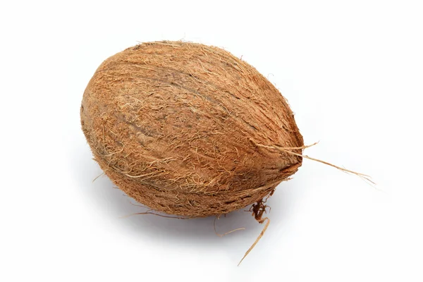 Kokosový ořech izolovaný na bílé — Stock fotografie