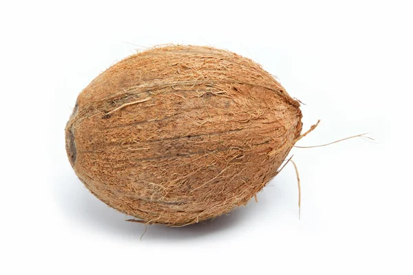 Kokosnoot geïsoleerd op wit — Stockfoto