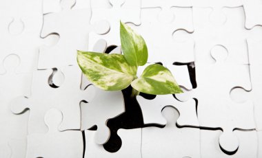 Green sprout from the earth makes its way through the puzzle. clipart