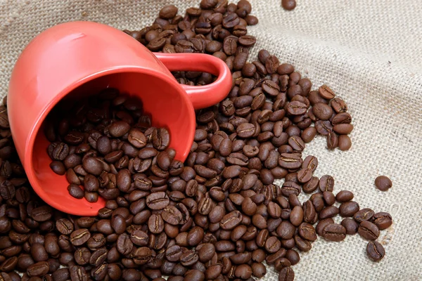 Tasse mit Bohnen Kaffee. — Stockfoto